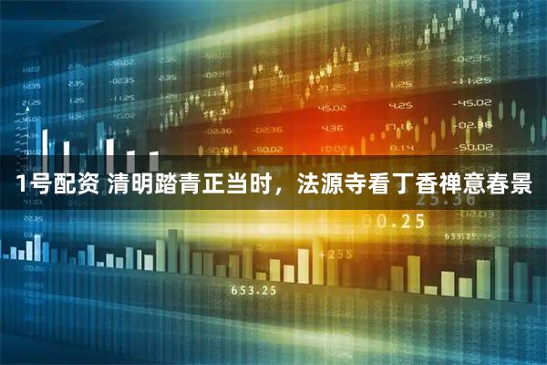 1号配资 清明踏青正当时，法源寺看丁香禅意春景